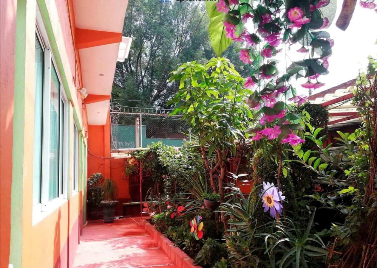 Ferienwohnung Hermoso Depa De 3 Recamaras Y 2 Banos En El Centro De Coyoacan Mexiko-Stadt Exterior foto