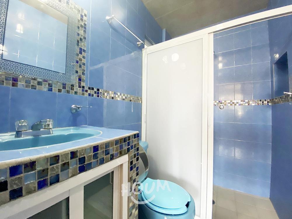 Ferienwohnung Hermoso Depa De 3 Recamaras Y 2 Banos En El Centro De Coyoacan Mexiko-Stadt Exterior foto