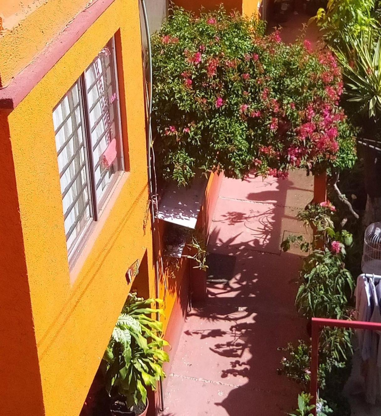 Ferienwohnung Hermoso Depa De 3 Recamaras Y 2 Banos En El Centro De Coyoacan Mexiko-Stadt Exterior foto